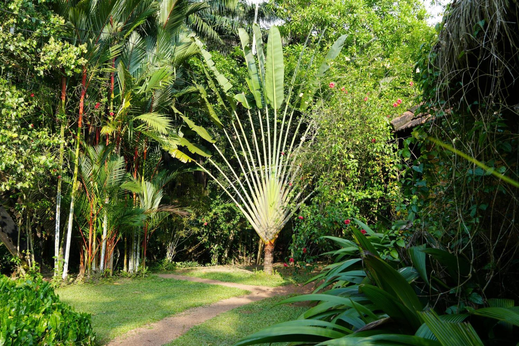 Huma Terra Lodges Hikkaduwa Exterior photo