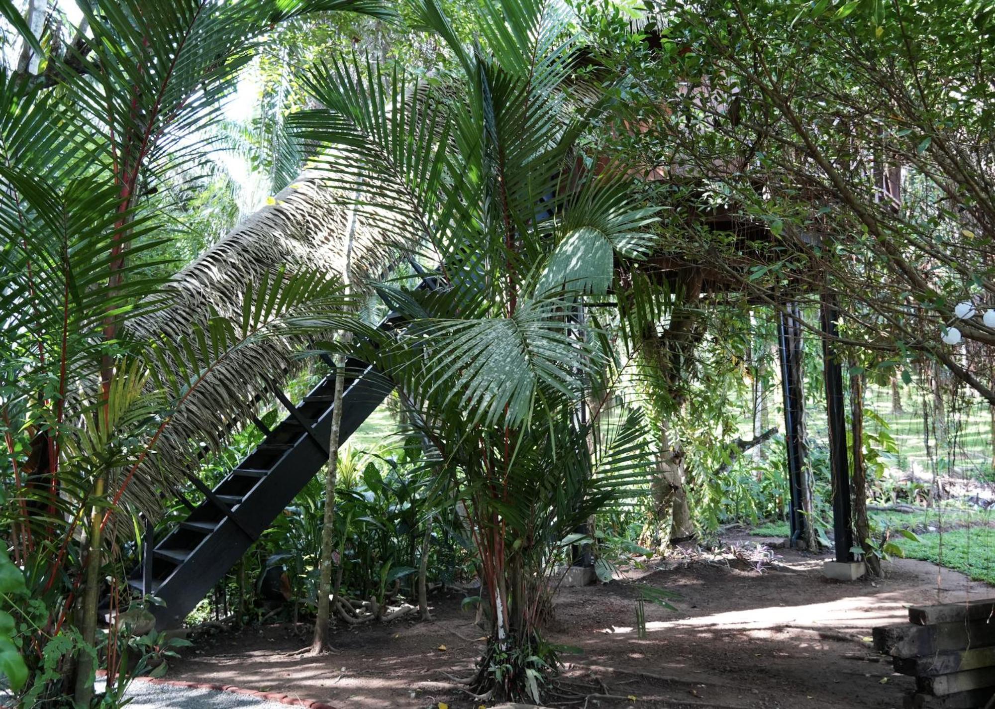 Huma Terra Lodges Hikkaduwa Exterior photo